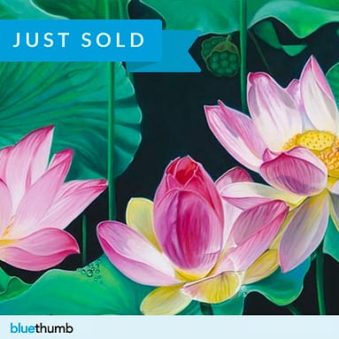 Sold on Bluethumb: The Gentleness of Lotuses